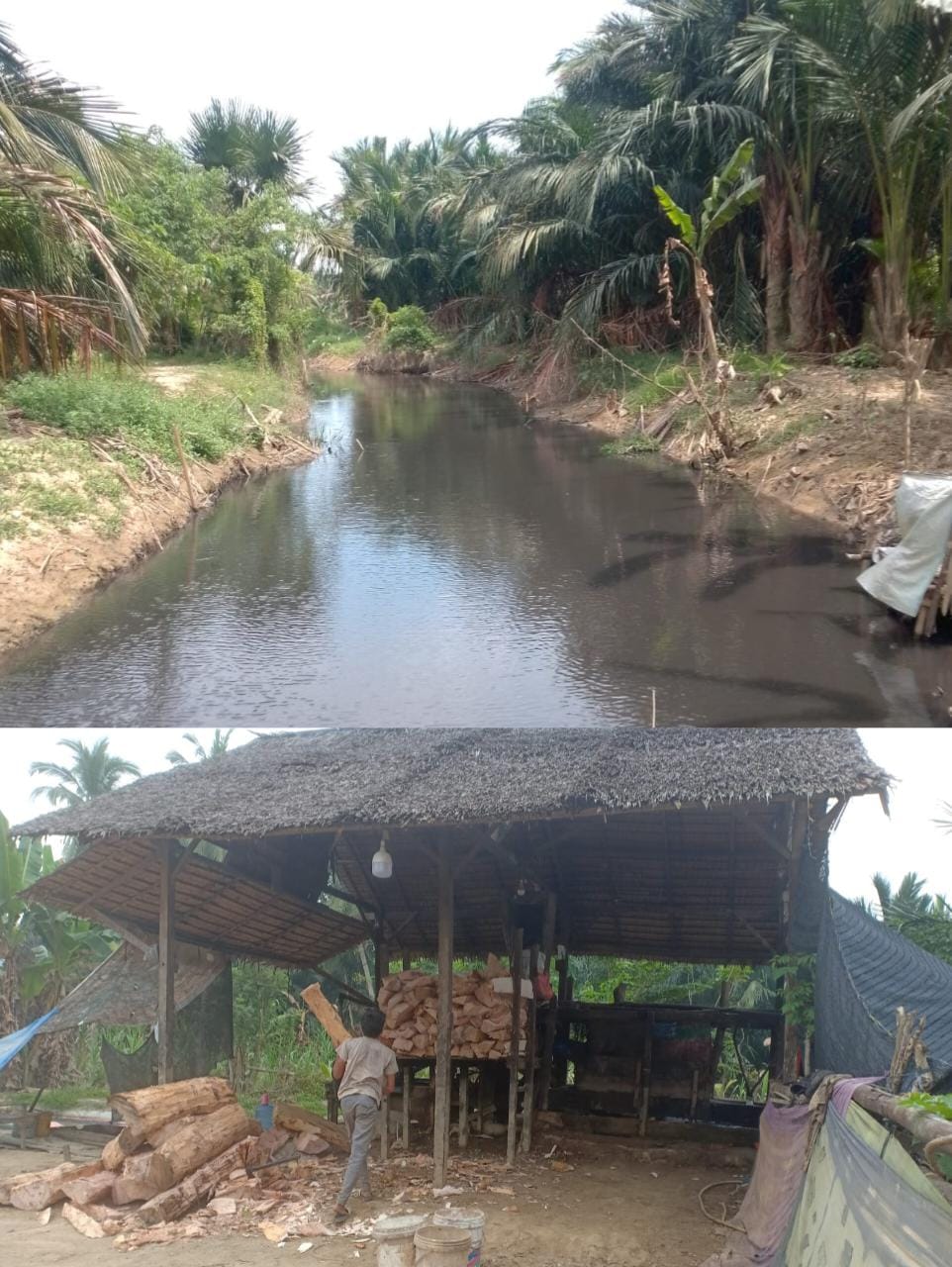Pabrik Sagu di Alue Bilie Rayeuk Baktiya Diduga Cemari Sungai