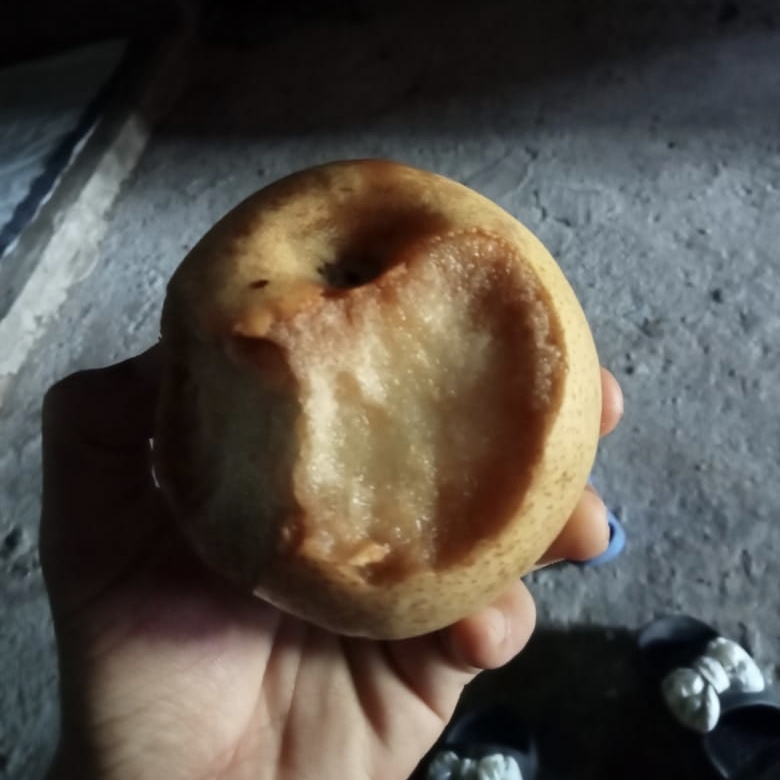 Ironi Gizi Posyandu: Niat Cegah Stunting, Ibu Hamil dan Balita di Aceh Utara Diduga Malah Diberi Buah Pir Busuk