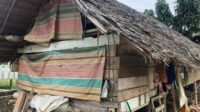 Potret Pilu di Pirak Timu: Rumah Hanyut, Janji Pun Larut Bagi Lansia Alue Bungkoh